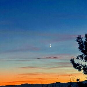 Meet your Posher, Addy